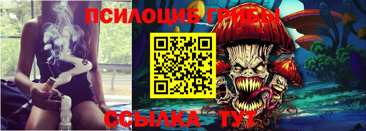 Галлюциногенные грибы Magic Shrooms  Псилоцибиновые грибы прущие грибы  Новороссийск  Вход с VPN 