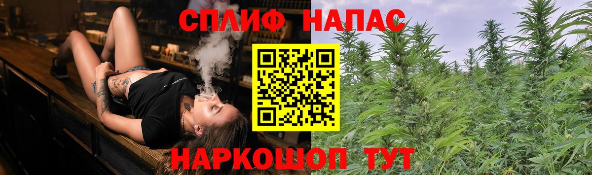 Канабис конопля  Бошки Шишки White Widow  Конопля MAZAR  Вход с VPN  Каннабис VHQ  Новороссийск 